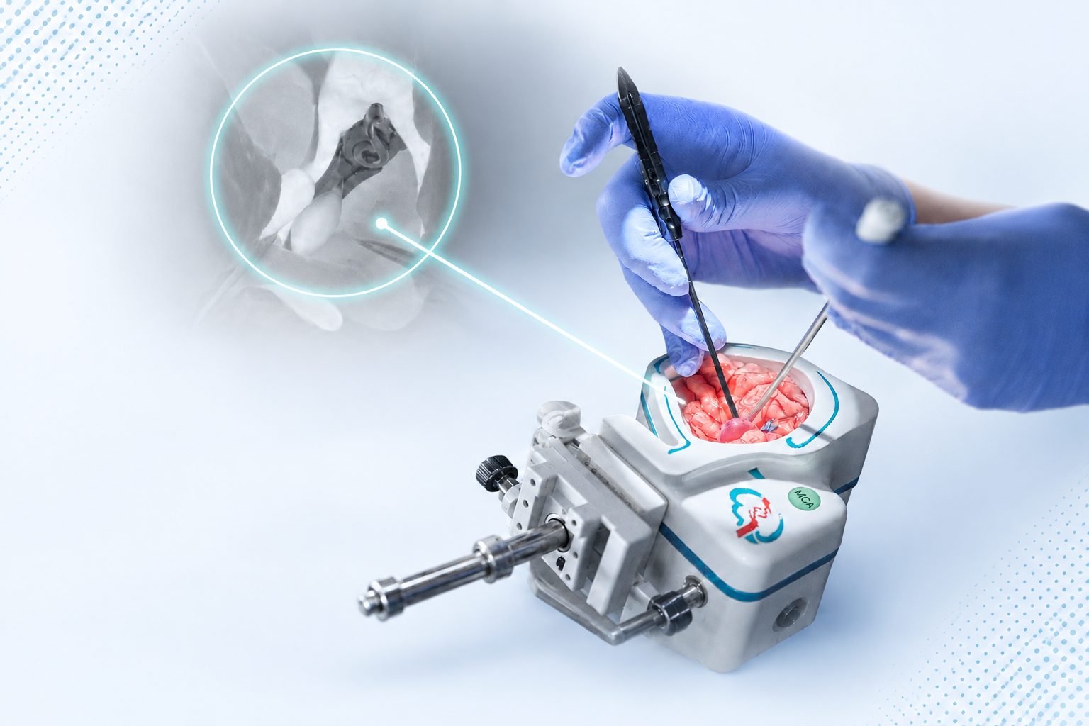 Intracranial Aneurysm Clipping Model (NeuraBubble™)
