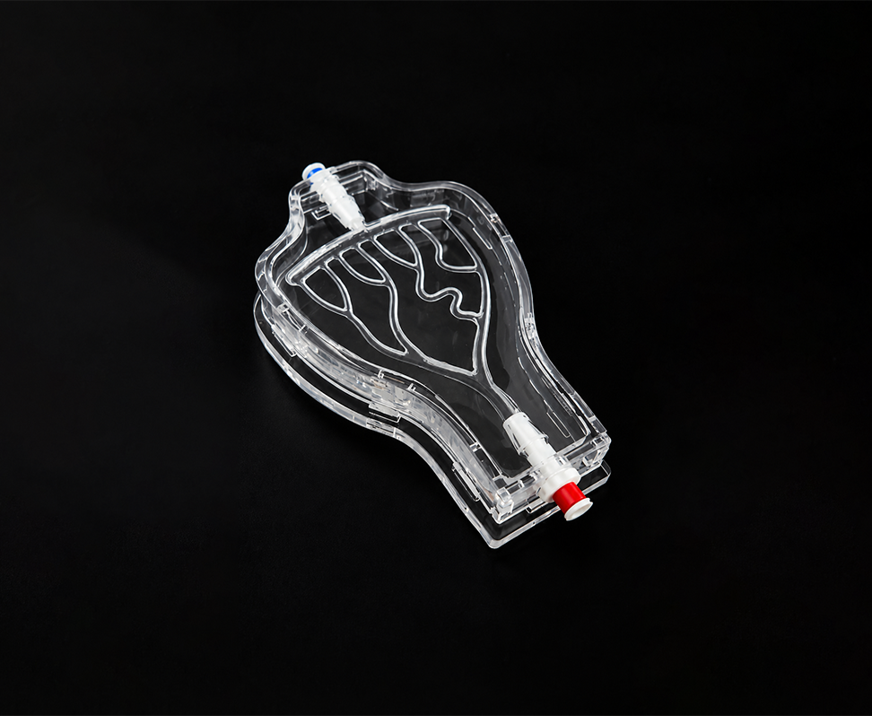 Y-Shape Endo Model